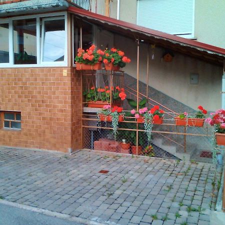 Apartment Janja Vojnik المظهر الخارجي الصورة