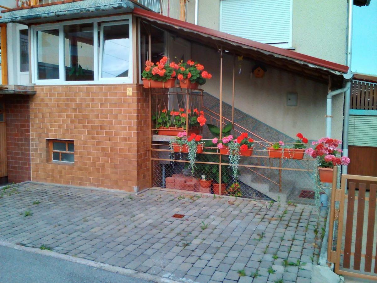 Apartment Janja Vojnik المظهر الخارجي الصورة