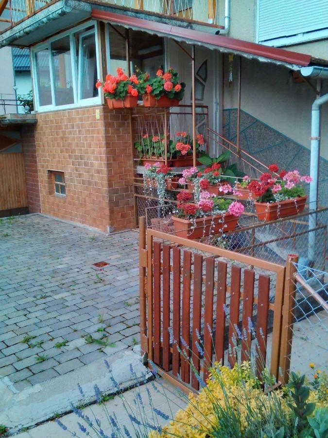 Apartment Janja Vojnik المظهر الخارجي الصورة