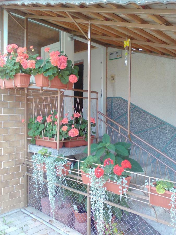 Apartment Janja Vojnik المظهر الخارجي الصورة