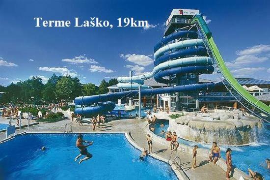 Apartment Janja Vojnik المظهر الخارجي الصورة