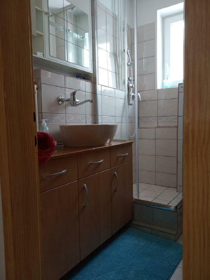 Apartment Janja Vojnik المظهر الخارجي الصورة